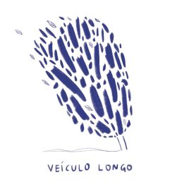 la-casa-rosa-discografica-veiculo-longo-single-artesanal-citric-veiculo-longo-portada